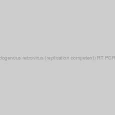 Image of Endogenous retrovirus (replication competent) RT PCR kit